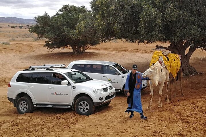 Desert day trip from Agadir & Taghazout + Lunch meal - Image 1