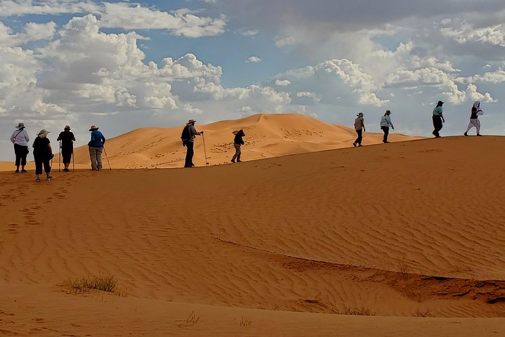 Desert Sahara Sand Dunes Trip in Agadir - Image 3