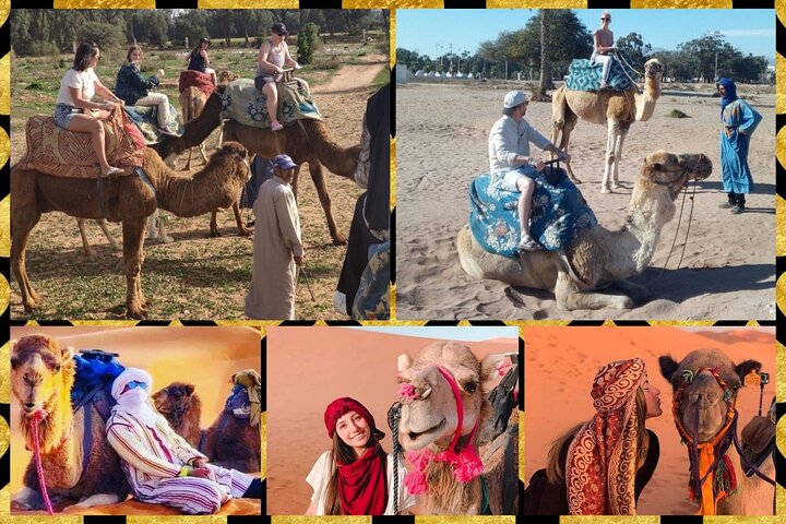 Dromedary Safari: 2 hours - Image 1