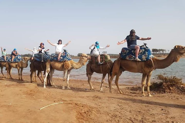 Dromedary Safari: 2 hours - Image 3