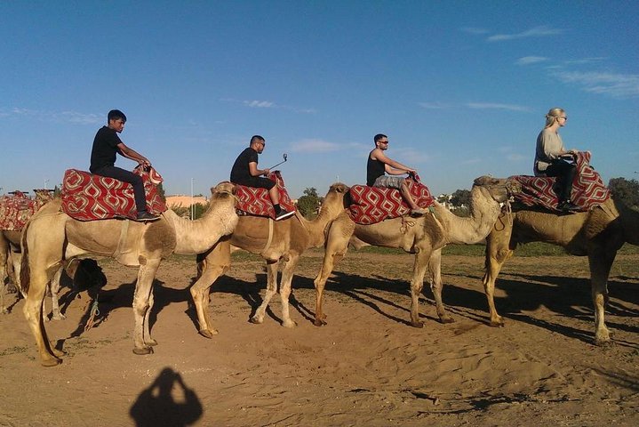 Dromedary Safari: 2 hours - Image 5