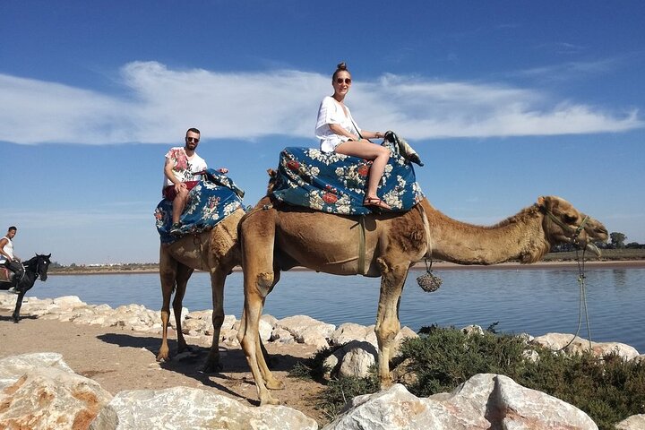 Dromedary Safari: 2 hours - Image 4