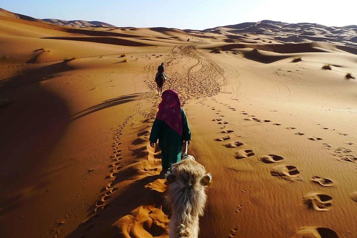 El Borj Desert Tour from Agadir - 2 Days - Image 4