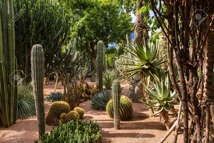 Enjoy Paradise valley trip with guide ® - Image 4