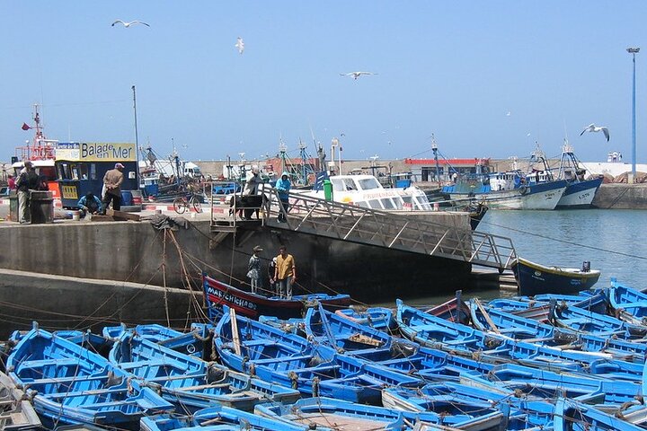 Essaouira Day Trip From Agadir or Taghazout - Image 5