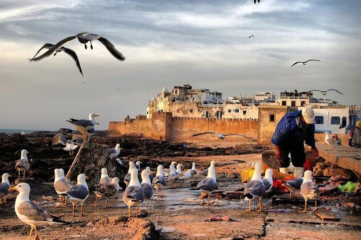 Essaouira fishing Town - Image 1
