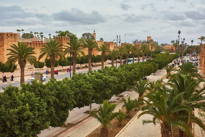 Excursion from the port to Taroudant - Image 1