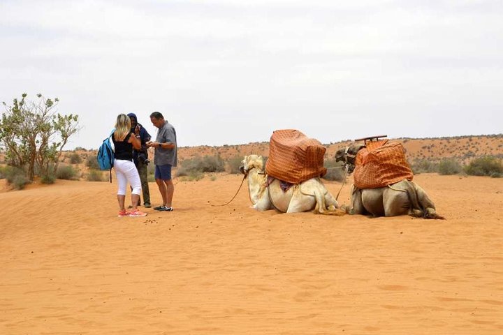 Excursion to the little Sahara, visit Tiznit, Tifnit, & Massa. - Image 1
