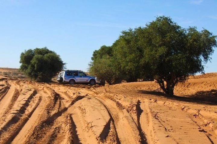 Excursion to the little Sahara, visit Tiznit, Tifnit, & Massa. - Image 2