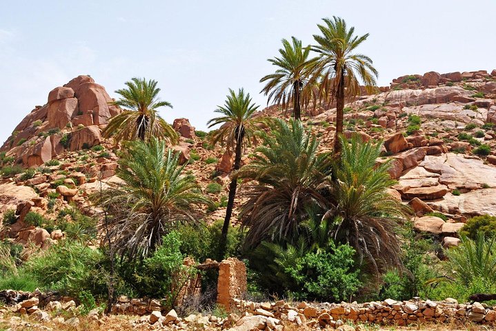From Agadir day trip to tafraout-Morocco original- - Image 5