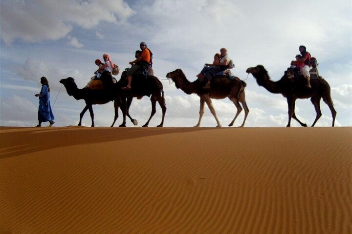  from agadir daytrip desert experience with locals lunch includ - Image 3