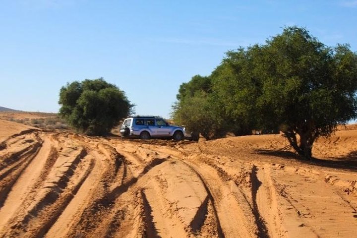  from agadir daytrip desert experience with locals lunch includ - Image 2