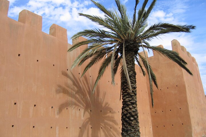 From Agadir Hotel or Port : Marrakech Day Trip - Image 3