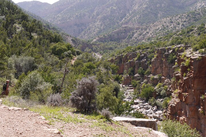 From Agadir Hotel or Port : Paradise Valley Trip - Image 4