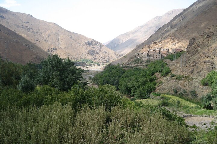 From Agadir Hotel or Port : Paradise Valley Trip - Image 3