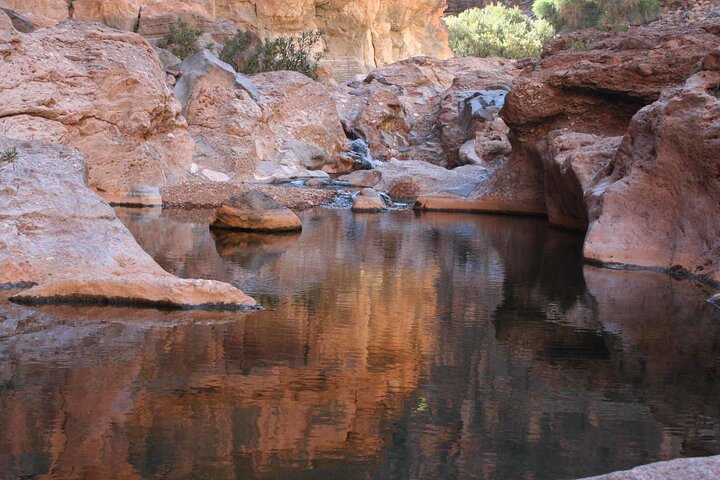 From Agadir Hotel or Port : Souss Massa Park National Excursion - Image 3