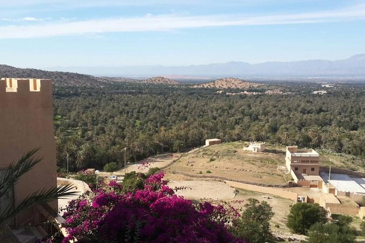 From Agadir Hotel or Port : Taroudant and Tiout Oasis - Image 2