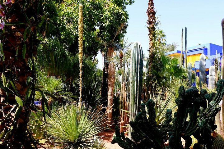 From Agadir: Private day trip to Marrakech - Image 2