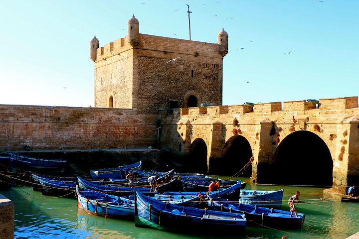 From Agadir: Private Guided Day Trip to Essaouira - Image 5