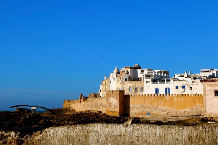 From Agadir: Private Guided Day Trip to Essaouira - Image 4