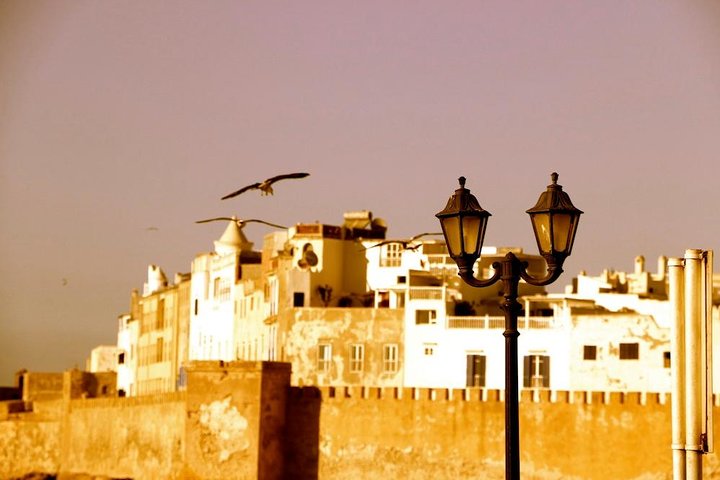 From Agadir: Private Guided Day Trip to Essaouira - Image 1