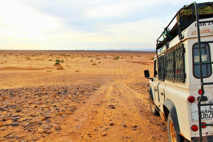 Full-Day Safari Small Desert With Lunch - Image 5