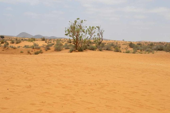 Full day to small desert from Agadir - Image 1