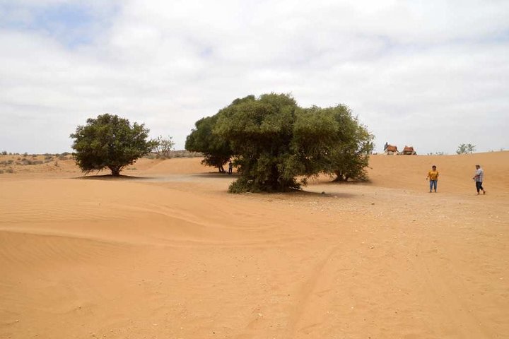 Full day to small desert from Agadir - Image 2