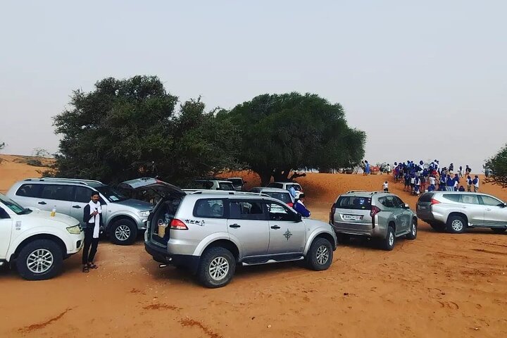 Full Day Tour to Desert Trip in Agadir with Lunch - Image 3