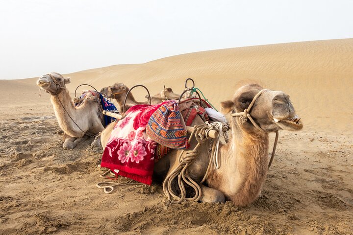Full Day Tour to Desert Trip in Agadir with Lunch - Image 2