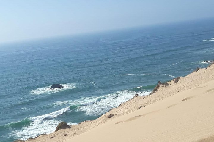 Full Day Trip To Paradise Valley & Sahara Dunes (Desert) With Lunch - Image 5