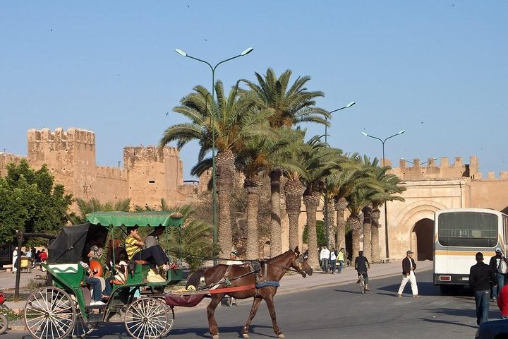 Go discover Taroudant & Tiout Day Trip from agadir - Image 4