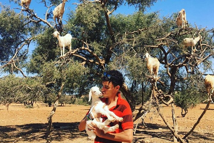 Go discover Taroudant & Tiout Day Trip from agadir - Image 3