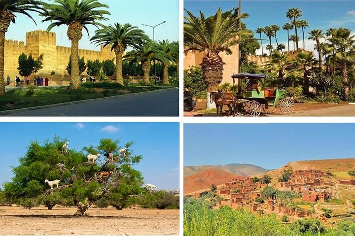 Go discover Taroudant & Tiout Day Trip from agadir - Image 1