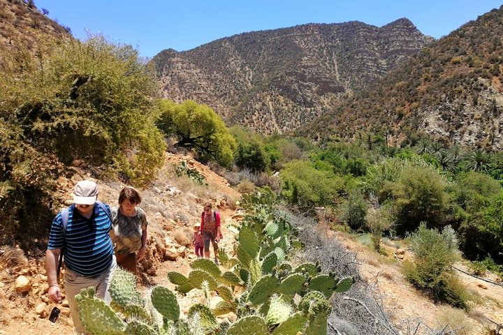 Half day Hiking between palm trees and valley in agadir  - Image 2