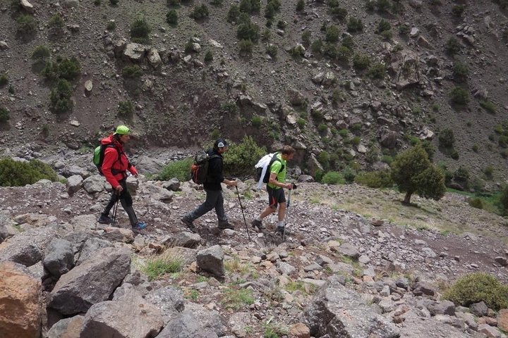 Half day Hiking between palm trees and valley in agadir  - Image 1
