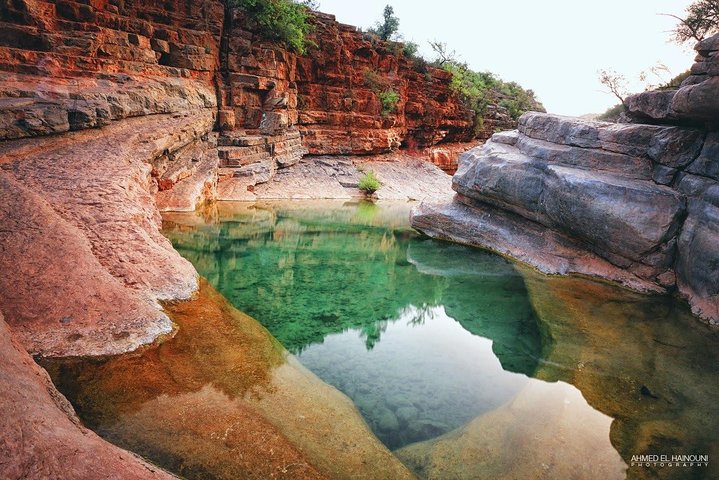 Half-Day Tour to Paradise Valley from Agadir - Image 2