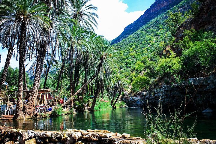 Half-Day Tour to Paradise Valley from Agadir - Image 5