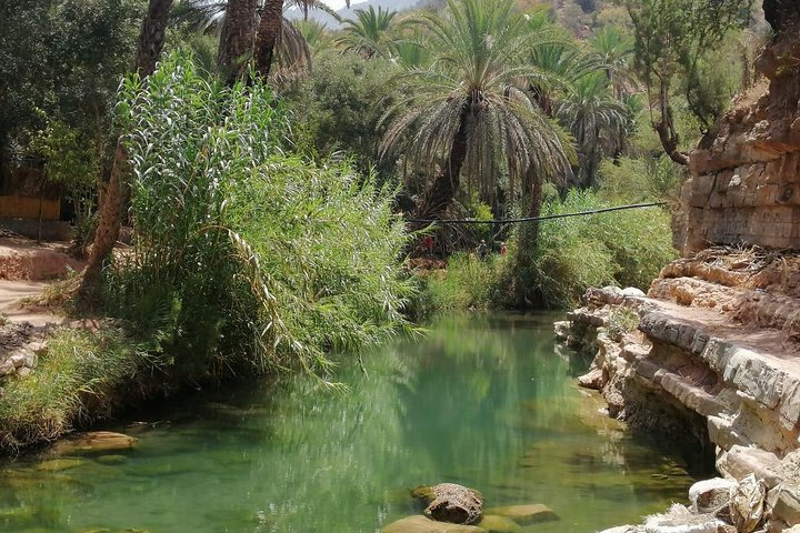 Half Day trip To Paradise Valley From Agadir - Image 1