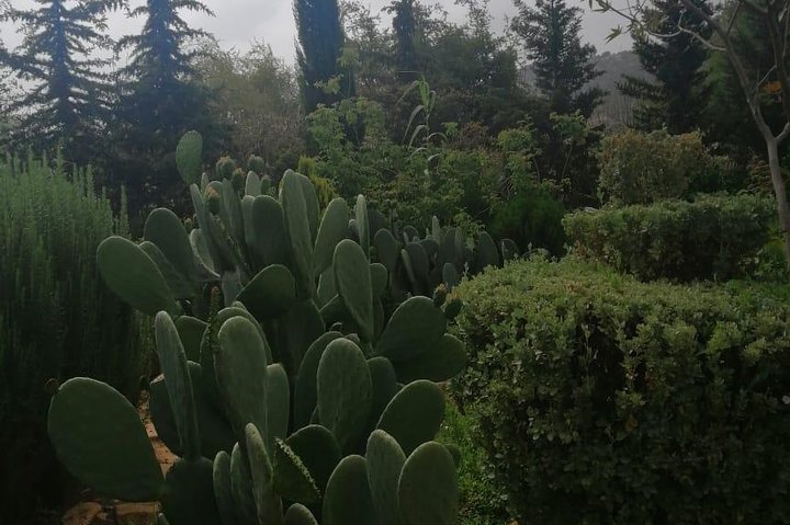 Half Day trip To Paradise Valley From Agadir - Image 3