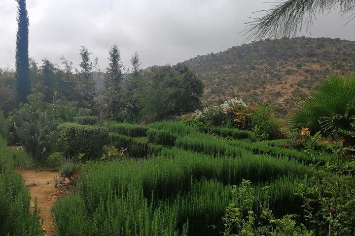 Half Day trip To Paradise Valley From Agadir - Image 4
