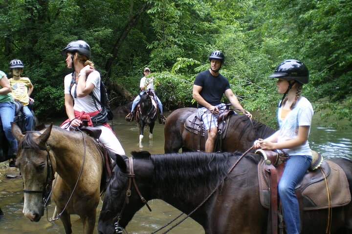 Horse Ride in Taghazout or Agadir - Image 5