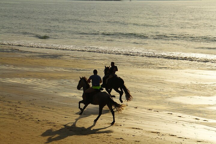 Horse Ride in Taghazout or Agadir - Image 1