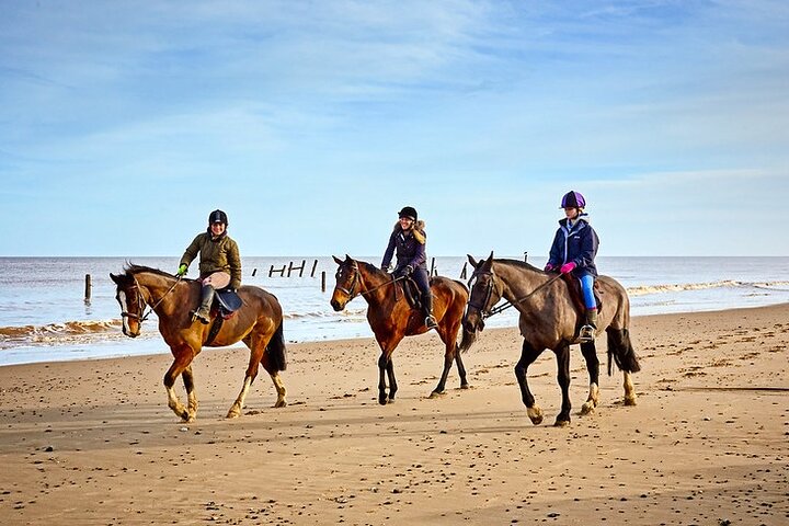 Horse Ride in Taghazout or Agadir - Image 2