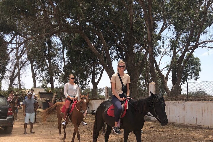Horse Riding Agadir - Image 4