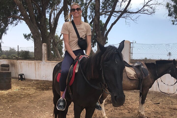 Horse Riding Agadir - Image 5