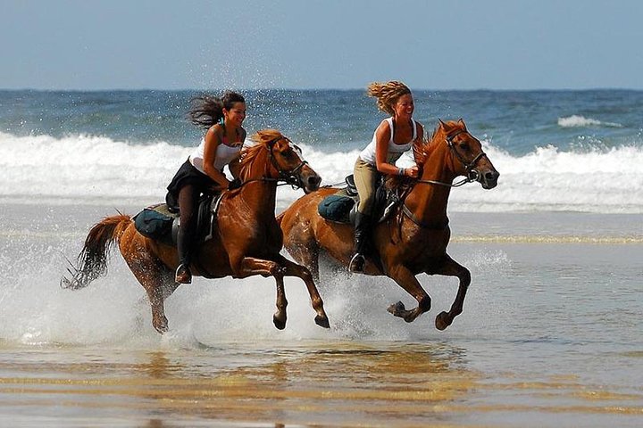 Horse Riding Agadir - Image 1