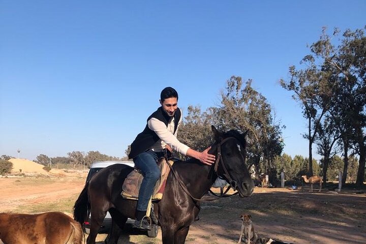 Horse Riding Agadir - Image 3
