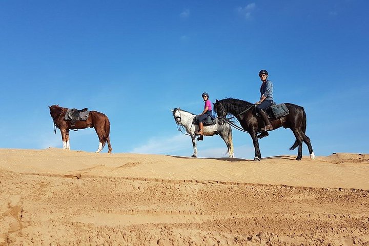 Horse Riding In Agadir  - Image 5