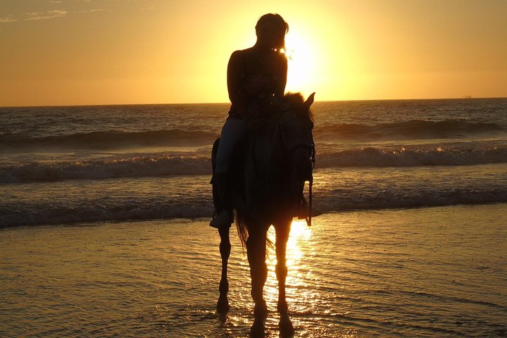 Horse Riding In Agadir  - Image 1